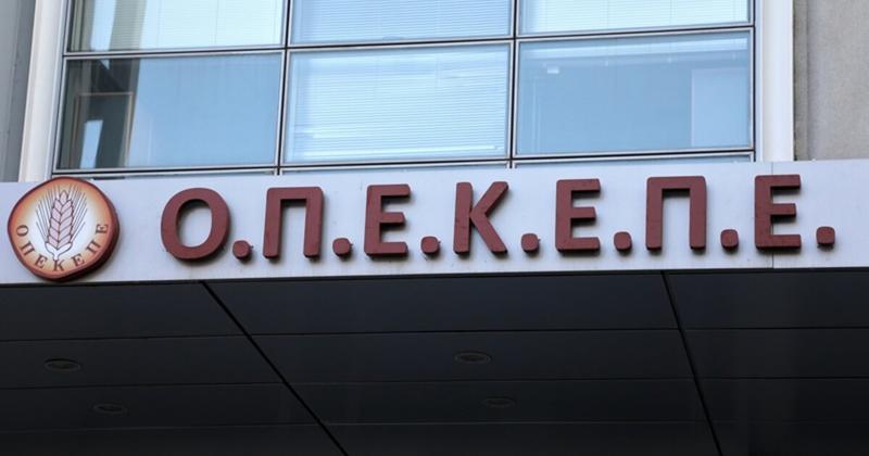 ΟΠΕΚΕΠΕ: Συζητείται η αγωγή της Παρασκευής Τυχεροπούλου κατά της καθαίρεσής της ΟΠΕΚΕΠΕ: Συζητείται η αγωγή της Παρασκευής Τυχεροπούλου κατά της καθαίρεσής της
