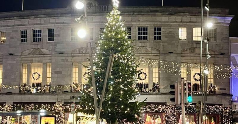 Cork Views: What makes Rotary Tree of Remembrance so special Cork Views: What makes Rotary Tree of Remembrance so special