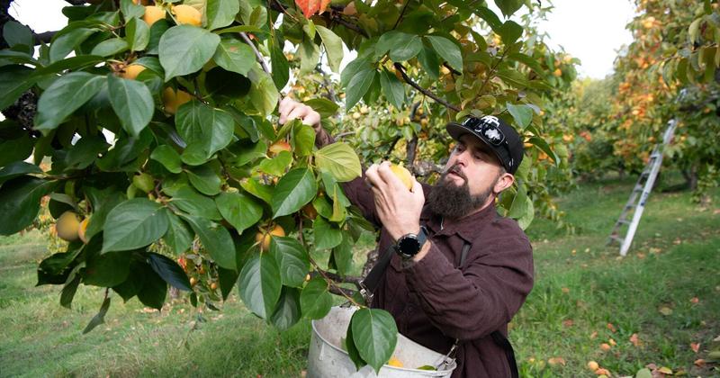 Letter: Republicans are sabotaging the health care of millions Letter: Republicans are sabotaging the health care of millions