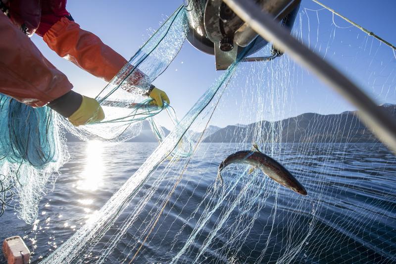 Kampf gegen Ewigkeitschemikalien: Wir brauchen mehr Daten
