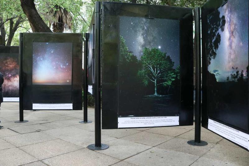 Exposiciones imperdibles en CDMX en diciembre