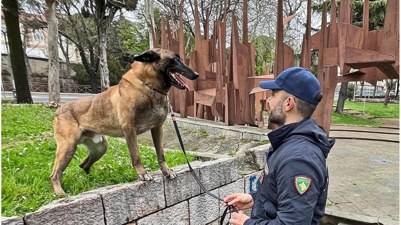 Pusher presi mentre fanno colazione al bar, la coca nel barattolo di caramelle