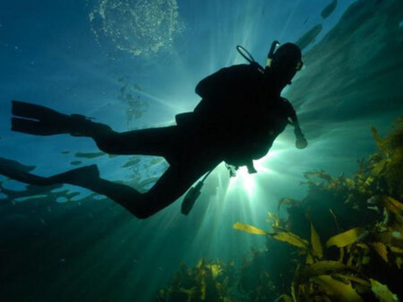 Учени разкриха внушителна част от потъналото отбранително съоръжение на антична Месембрия Учени разкриха внушителна част от потъналото отбранително съоръжение на антична Месембрия