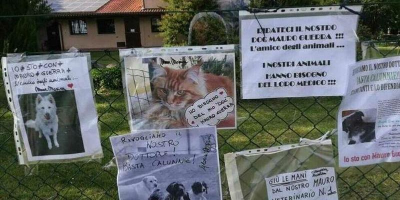 Ravenna, per il veterinario i conti in aula: «Non c’è la sproporzione indicata» Ravenna, per il veterinario i conti in aula: «Non c’è la sproporzione indicata»