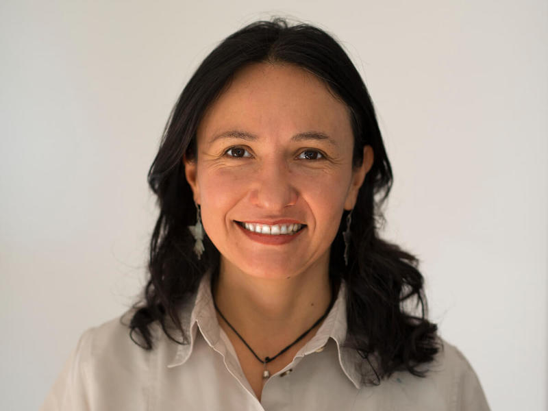 Minamata reconoce la crisis del mercurio, pero esquiva sus causas