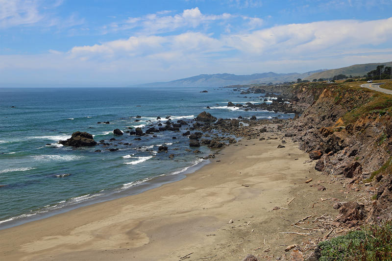 Surfer bit by shark at popular Bay Area beach