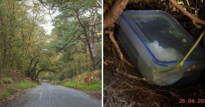 Sentence hearing adjourned for senior figure in Norfolk 'Tupperware gang' Sentence hearing adjourned for senior figure in Norfolk 'Tupperware gang'