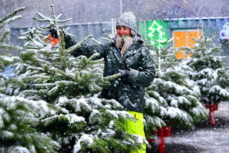 Reader slams energy companies for ‘bleeding customers dry' - Your Letters and when December snow brought festive scenes to Bradshaws nurseries in 2017 Reader slams energy companies for ‘bleeding customers dry' - Your Letters and when December snow brought festive scenes to Bradshaws nurseries in 2017
