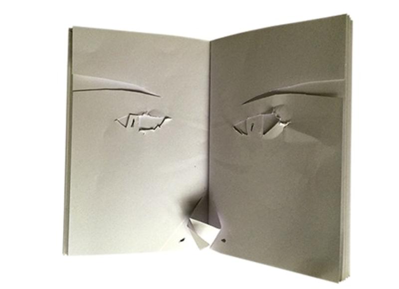 Pasa, Galán, pasa. Notas de dietario