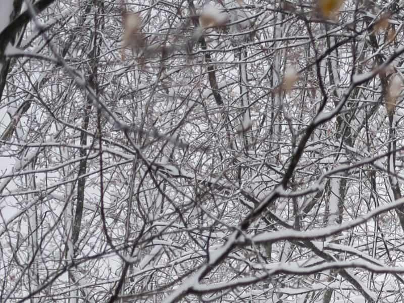 Le Québec, son hiver, son indépendance