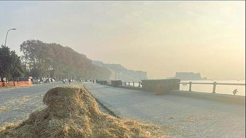 Lungomare, proteste e rabbia:paglia rimossa solo 7 giornidopo il «Racing show» Lungomare, proteste e rabbia:paglia rimossa solo 7 giornidopo il «Racing show»