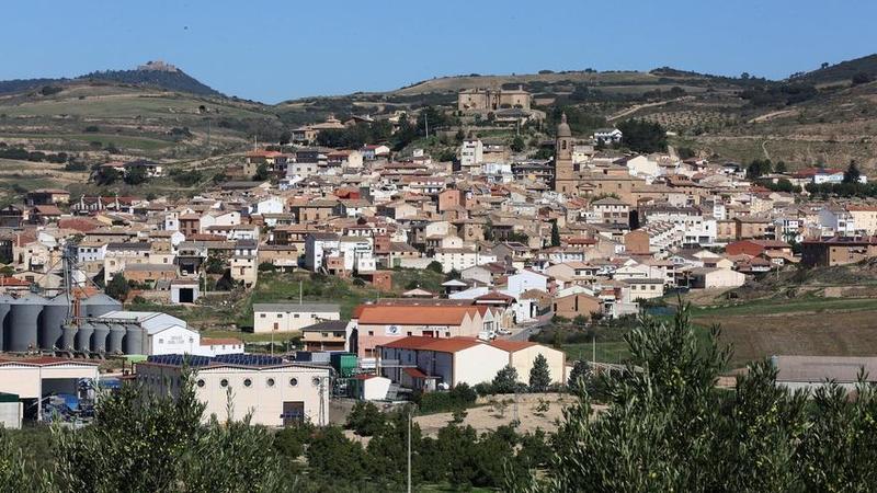 Planta de biometanización en Arróniz