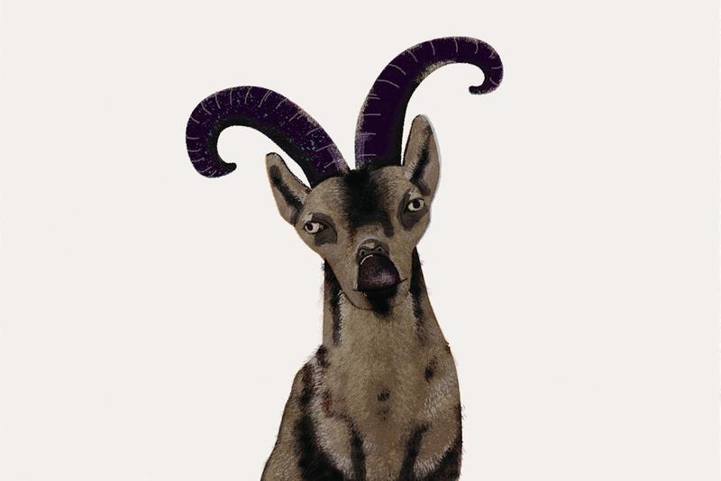 Anthologie über das Massenaussterben: Warum es der Artenvielfalt hilft, wenn wir den Humor behalten