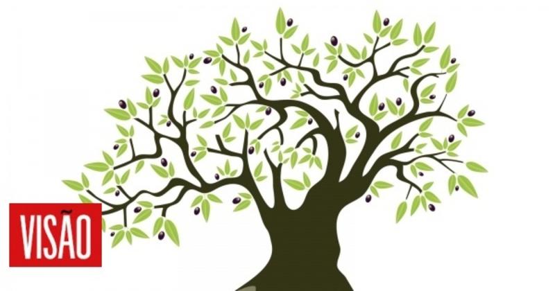 O mesmo Sol na língua. Por José Paulo Santos O mesmo Sol na língua. Por José Paulo Santos