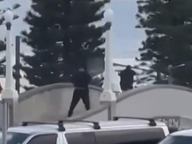 Vivian Bercovici: Bondi Beach massacre is what globalizing the intifada looks likes