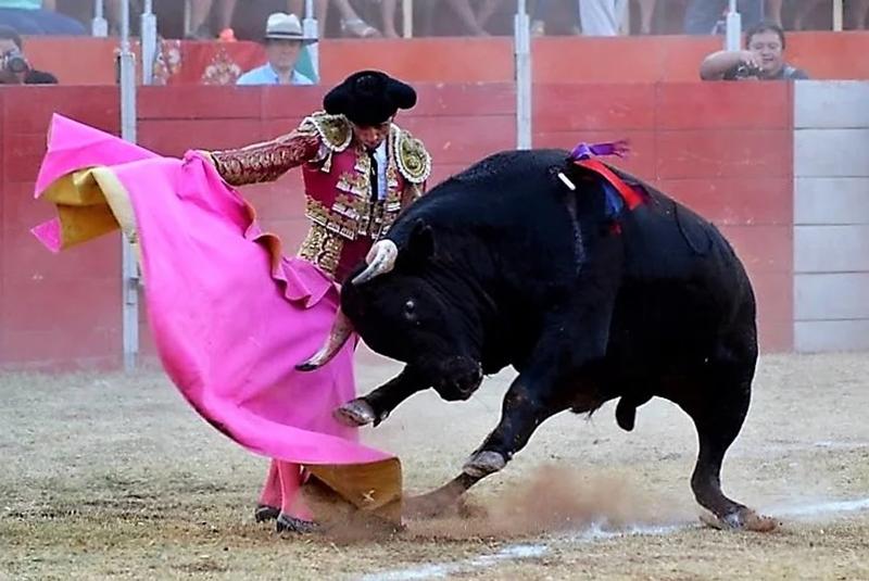 ¿La fiesta en paz? ¿La fiesta en paz?