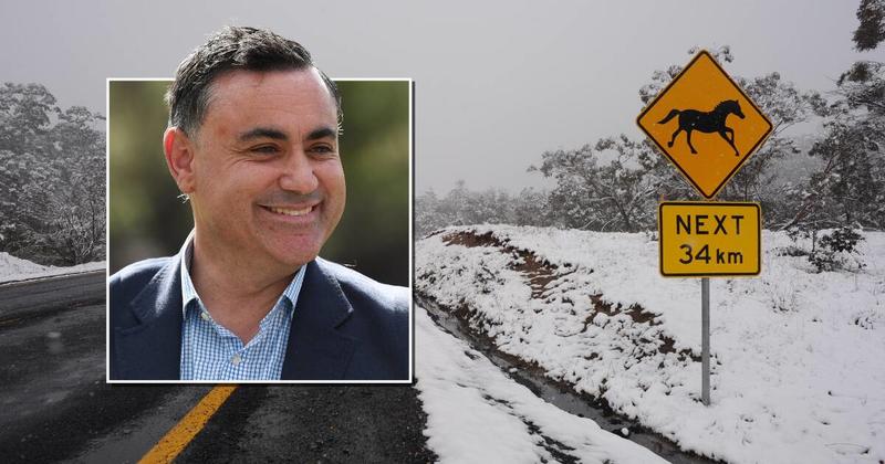 How John Barilaro accidentally saved Kosciuszko National Park