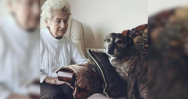 Retired landlady died after fall from chair Retired landlady died after fall from chair