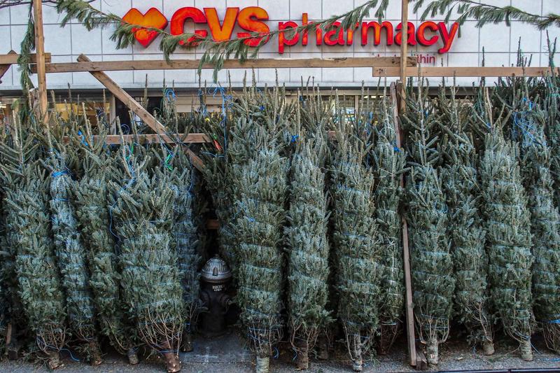 Christmas tree-seller explains why it’s such a cutthroat business