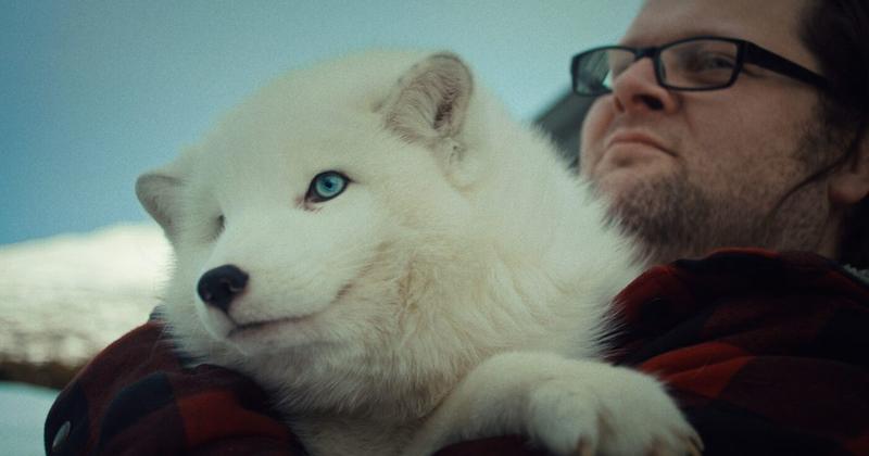 Jeg vet hva reven sier.