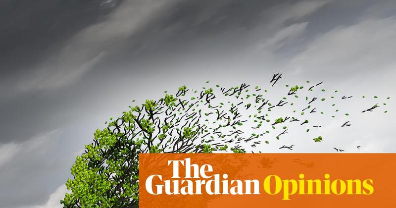 Distressing videos can have a lasting impact – here’s how to look after yourself in the wake of the Bondi attack