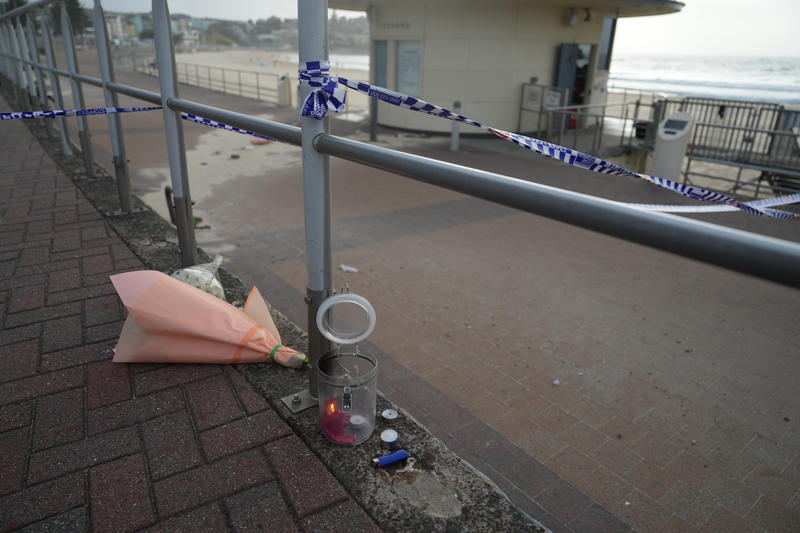 What the Massacre at Bondi Beach Means for the Global Fight Against Jew-Hatred