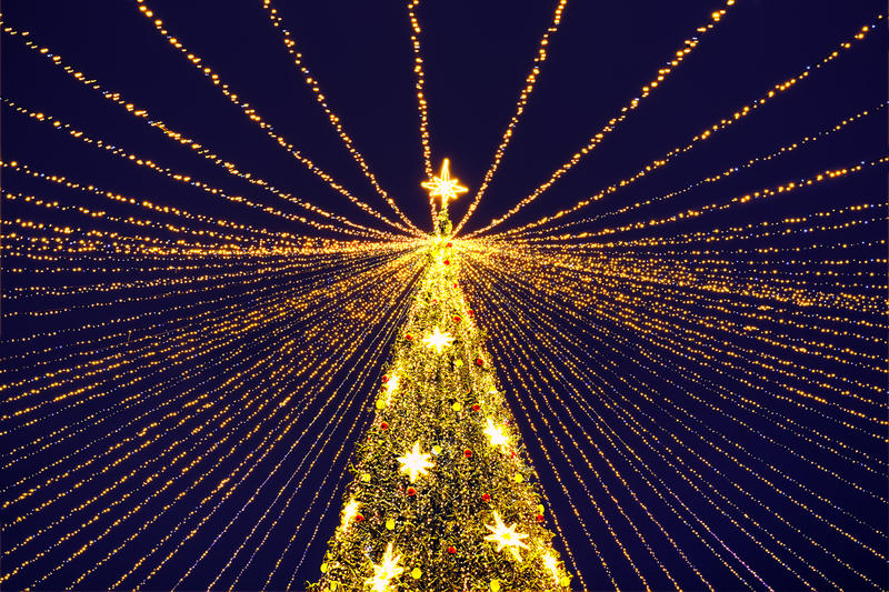 Feasts of falsehood /					 													 						No, Christmas isn’t pagan