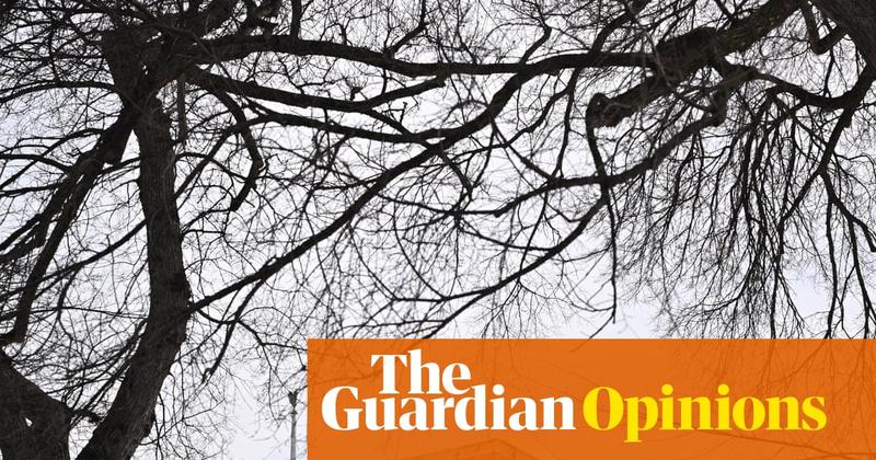 The US supreme court’s TikTok ruling is a scandal