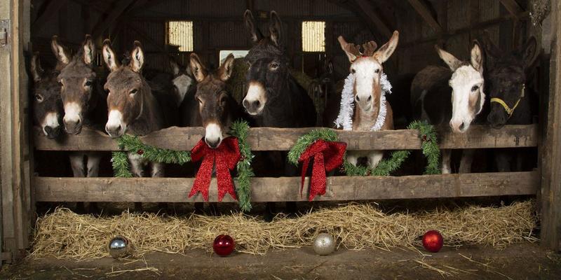 Winning in Places Where the Democratic Party Is Dead