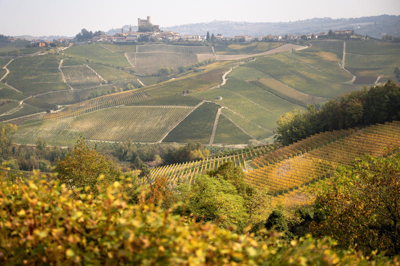 The Winter Food Destinations Worth the Journey