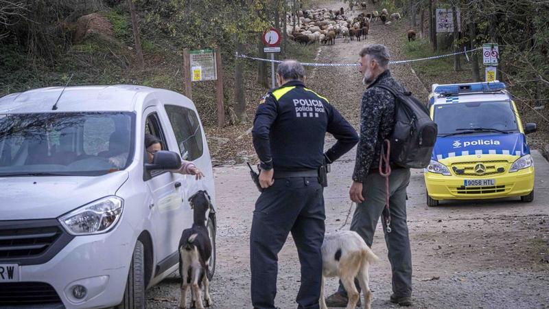 La Generalitat deja en el aire la apertura definitiva de la zona cero de la peste porcina