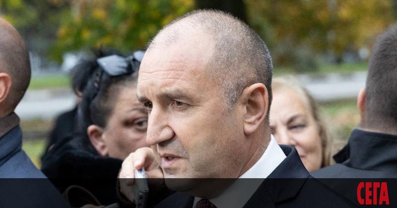 Котката на Радев не е бяла или черна, ами бърза кучка