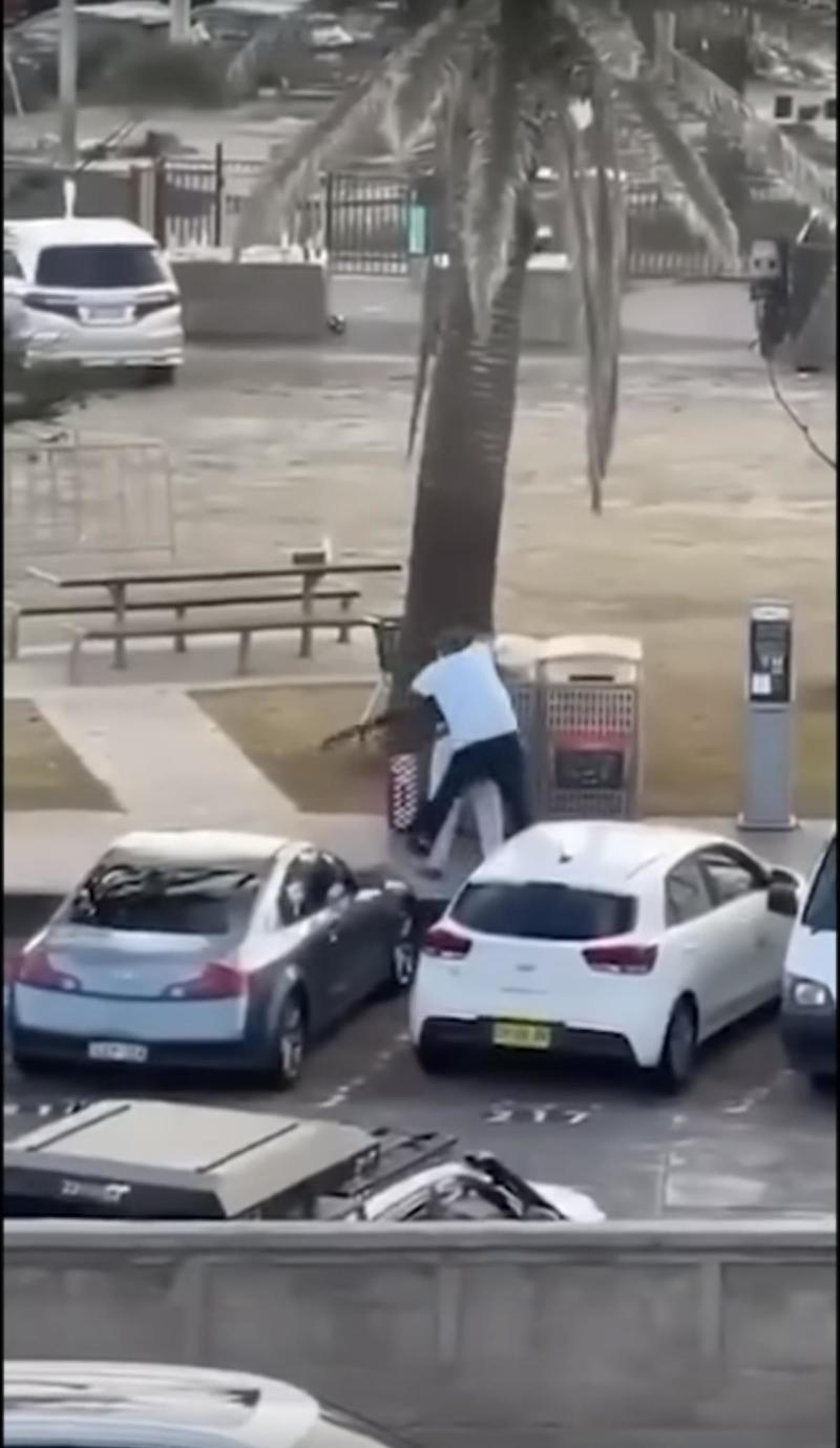 MAGA Gets Rude Awakening on Hero at Bondi Beach Shooting