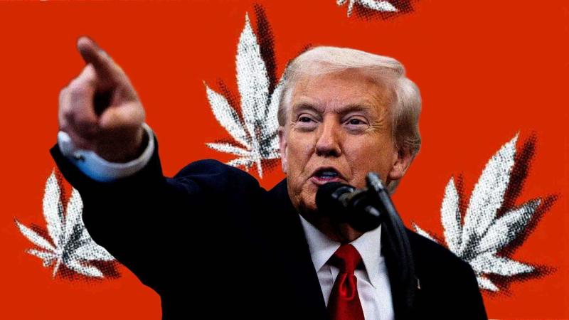 Trump's Plan To Reclassify Marijuana Would Leave Federal Prohibition Essentially Untouched