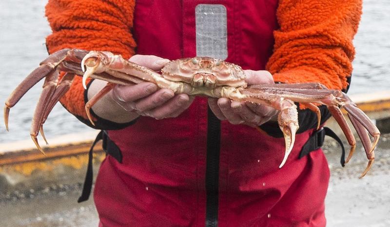 – AP seiler under falskt flagg