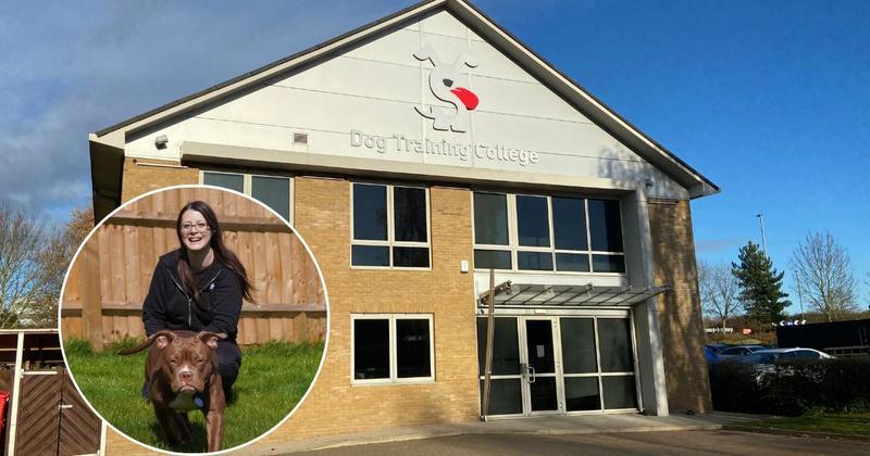 Company failed to tell students their £2,000 courses were no longer accredited Company failed to tell students their £2,000 courses were no longer accredited