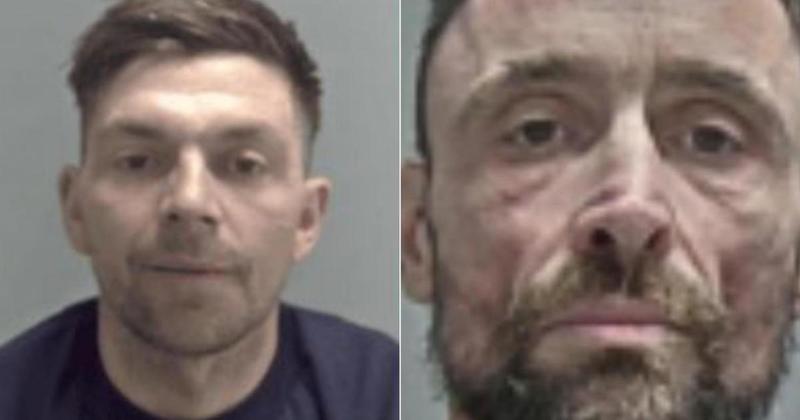 In the dock: The criminals jailed in Norfolk last week In the dock: The criminals jailed in Norfolk last week