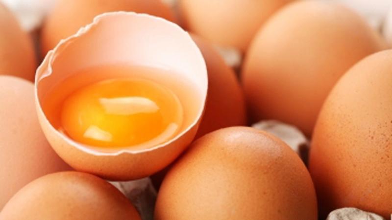 What Egg Debate Reveals About Food Safety in Kashmir What Egg Debate Reveals About Food Safety in Kashmir