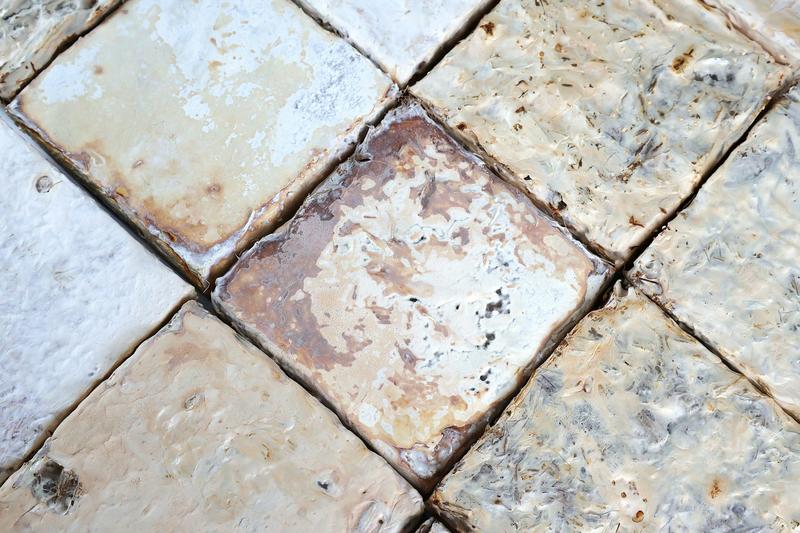 We think of mushrooms as food. But mycelium-based blocks could be the future of construction