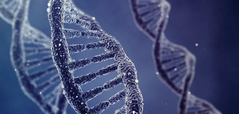 “Aura Farming” e “Biohacking” entre as palavras do ano revelam um mundo obcecado por energia, performance e autocontrole “Aura Farming” e “Biohacking” entre as palavras do ano revelam um mundo obcecado por energia, performance e autocontrole