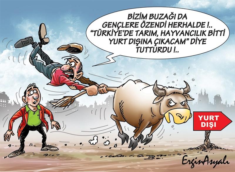 Manzara hiç hoş değil!