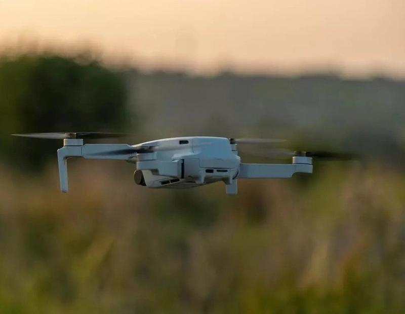 Los proyectiles: orígenes, evolución, vigencia