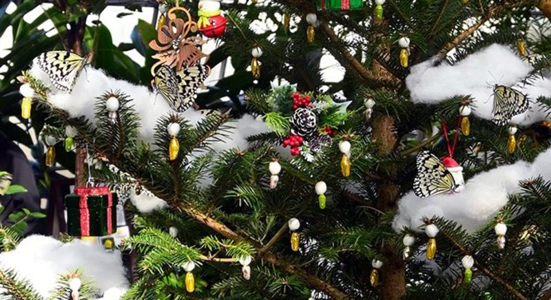 VOX POPULI: Untangling church and state in French art via a Japanese lens