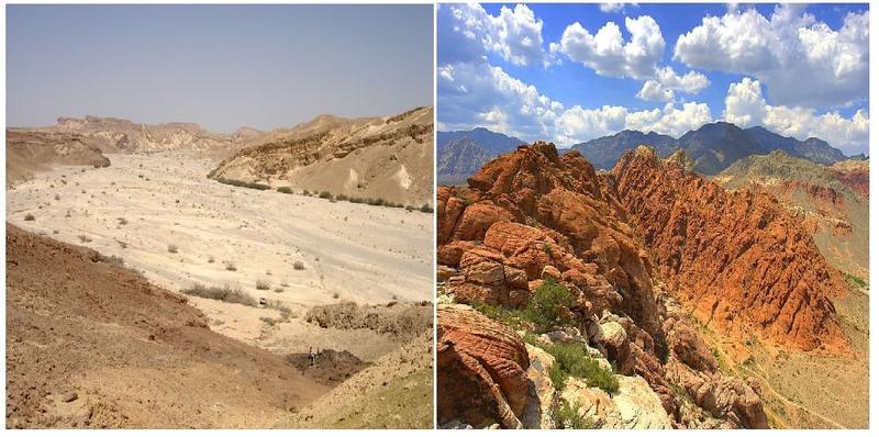 The Greening of the Negev—and Mojave?–Deserts