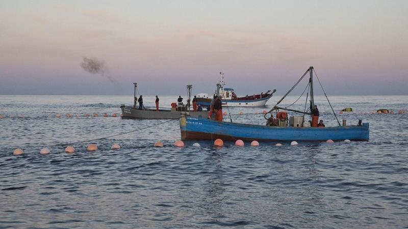 Canarias quiere morir de éxito Canarias quiere morir de éxito