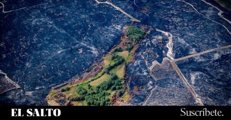 De los megaincendios al fuego controlado con el paisaje mosaico De los megaincendios al fuego controlado con el paisaje mosaico