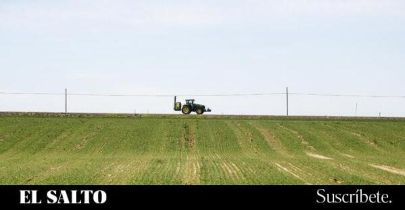 Protestas agrícolas y presión corporativa: el plan del lobby de los pesticidas para recortar la seguridad Protestas agrícolas y presión corporativa: el plan del lobby de los pesticidas para recortar la seguridad