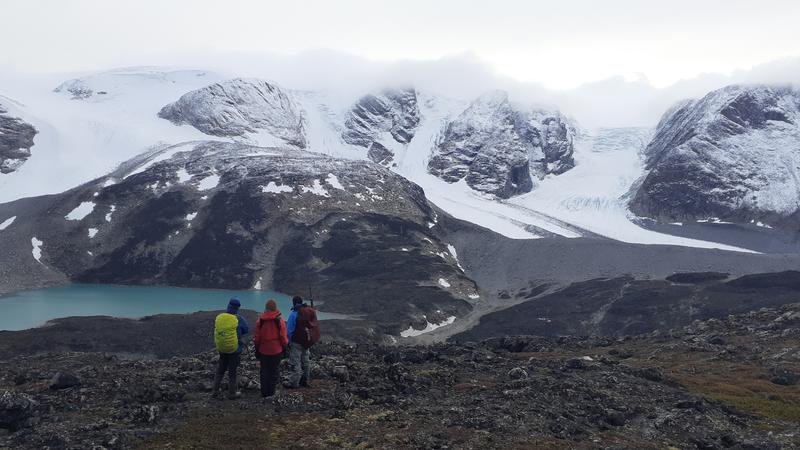 ‘Extreme melting’ episodes are accelerating ice loss in the Arctic