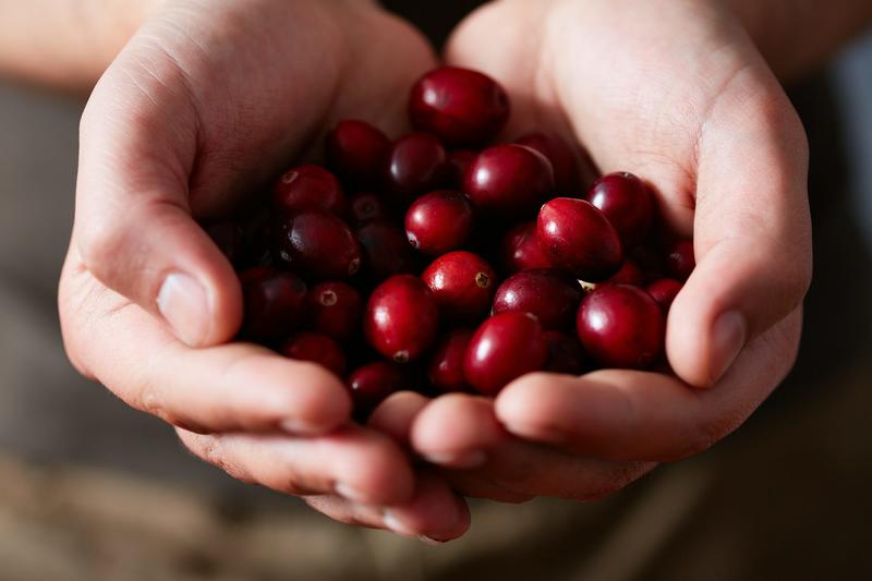 How cranberries can be a Christmas cracker for health this festive season