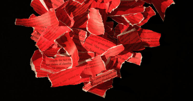 Olivia Nuzzi, Karine Jean-Pierre and Eric Trump Have All Written the Same Book